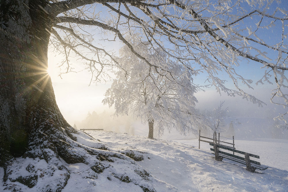 Jeu de lumière hivernal sur le Zugerberg, Suisse