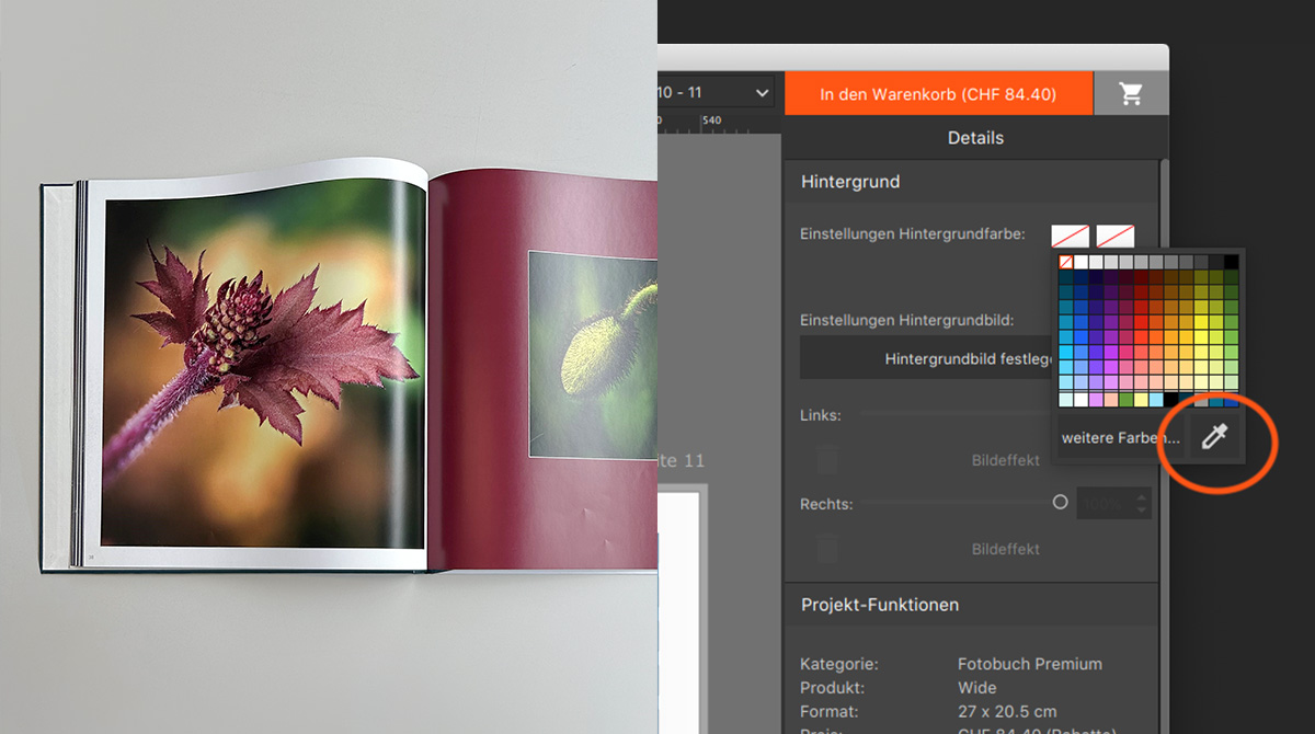Bookfactory Software - Farbe aus dem Foto als Hintergrundfarbe verwenden